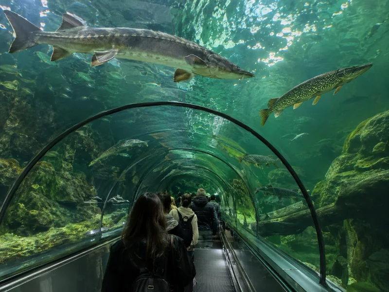 SEA LIFE Minnesota Aquarium Entry Ticket